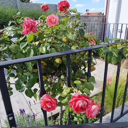 Penzion U Bustiku Sardice Exterior foto