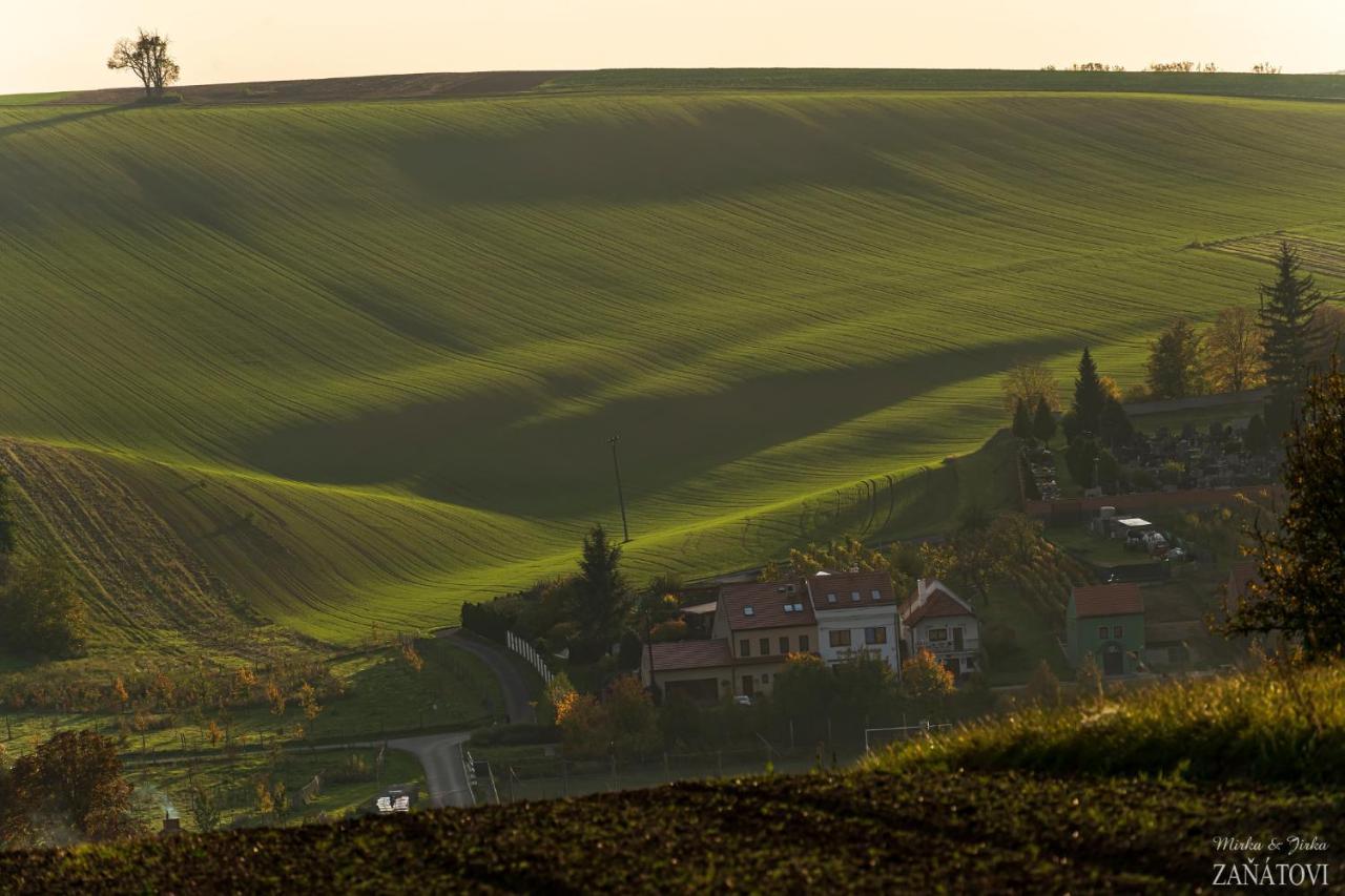 Penzion U Bustiku Sardice Exterior foto